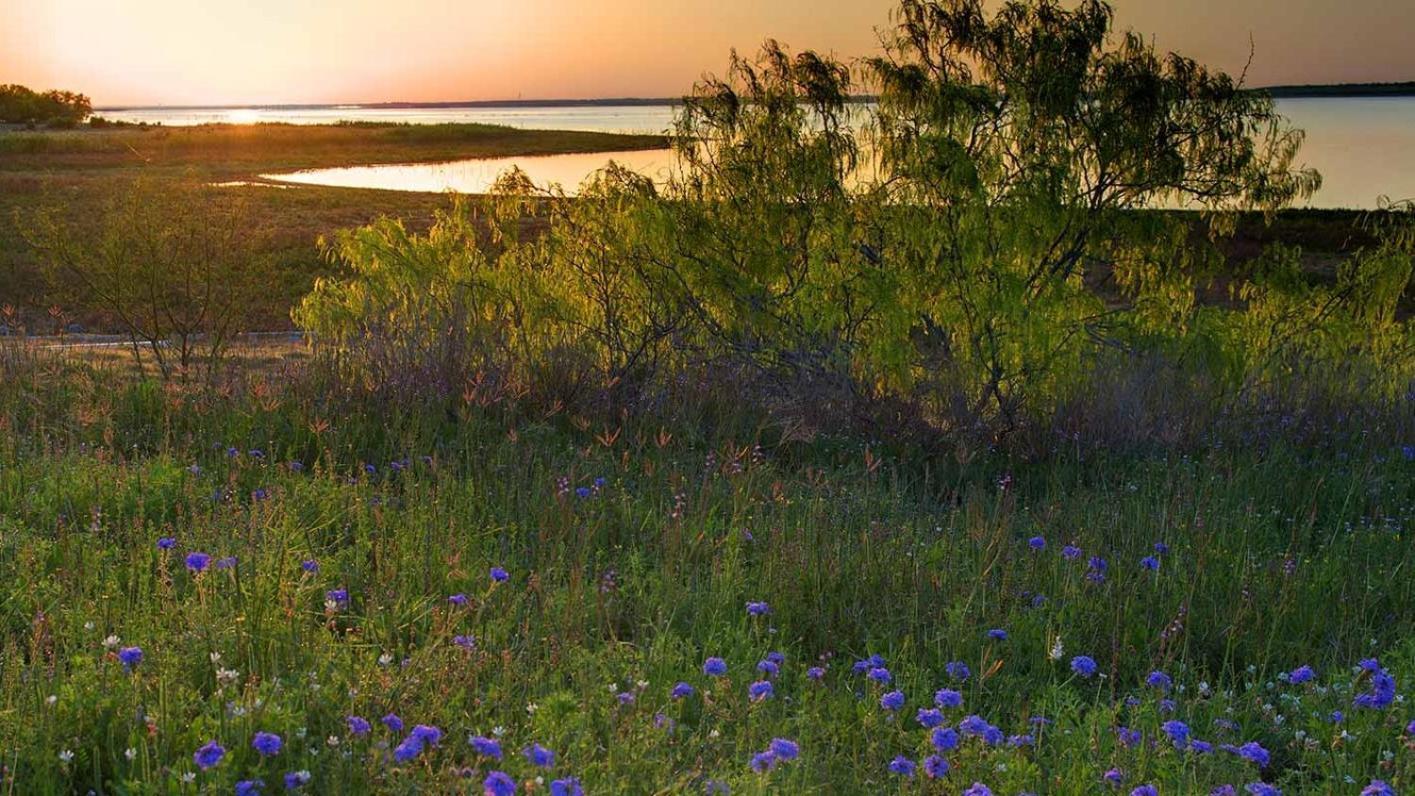 Bass Inn - Choke Canyon National Park Simmons Bagian luar foto